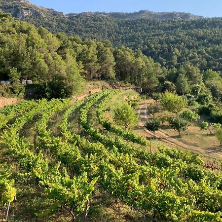 Vila El Celler De Cal Garriga Capafonts Exteriér fotografie