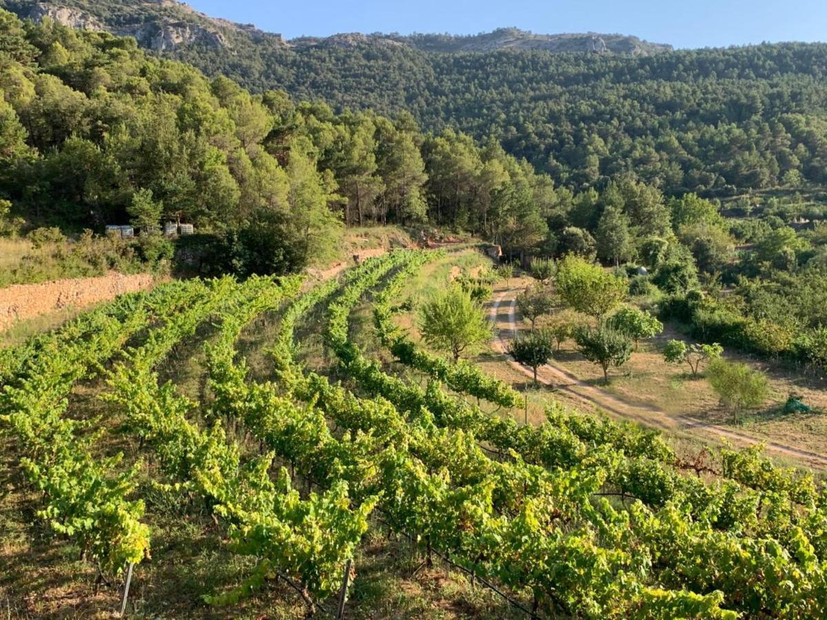 Vila El Celler De Cal Garriga Capafonts Exteriér fotografie